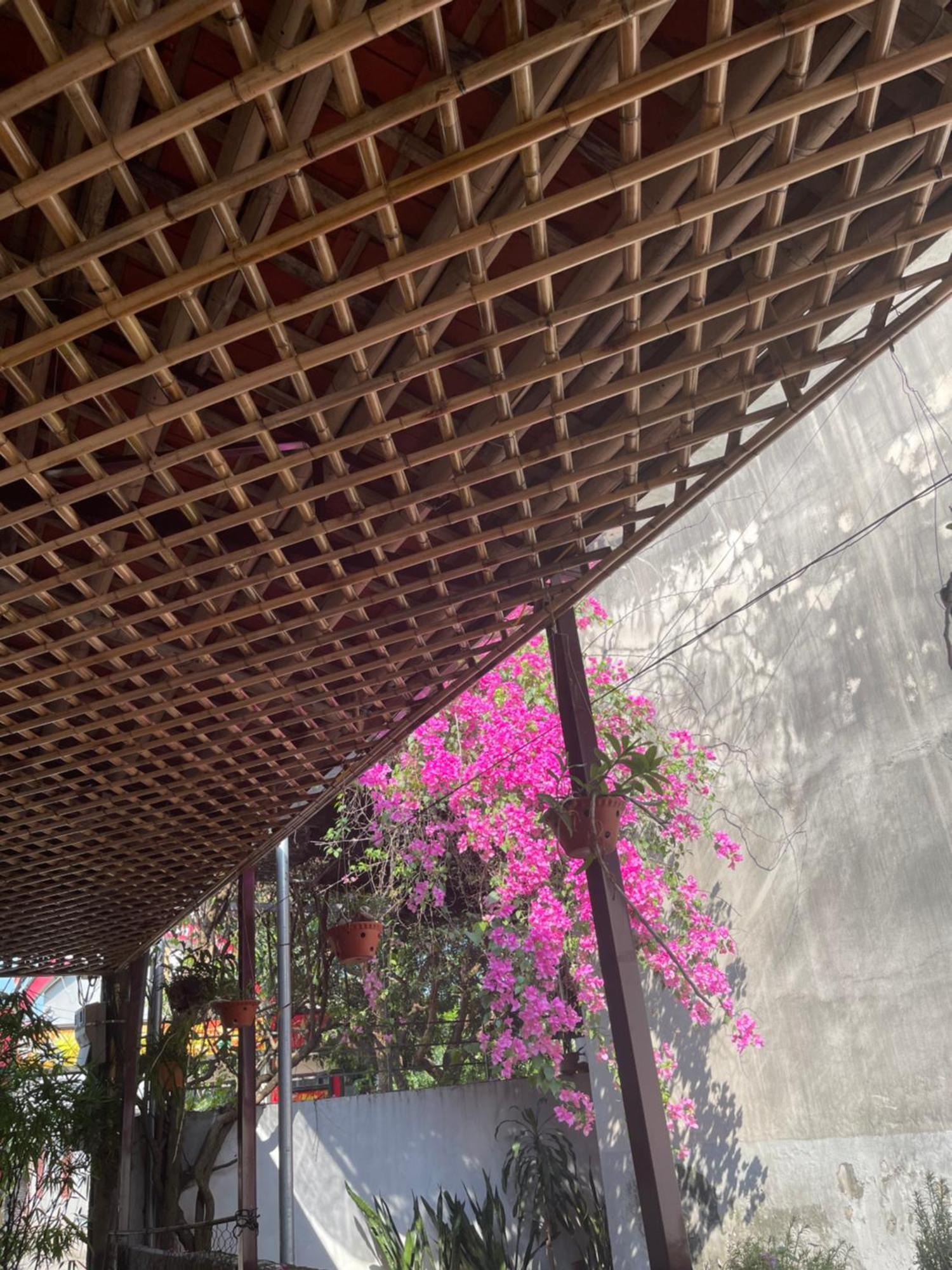 Thuy Xuyen Tam Coc Homestay Vu Lam المظهر الخارجي الصورة