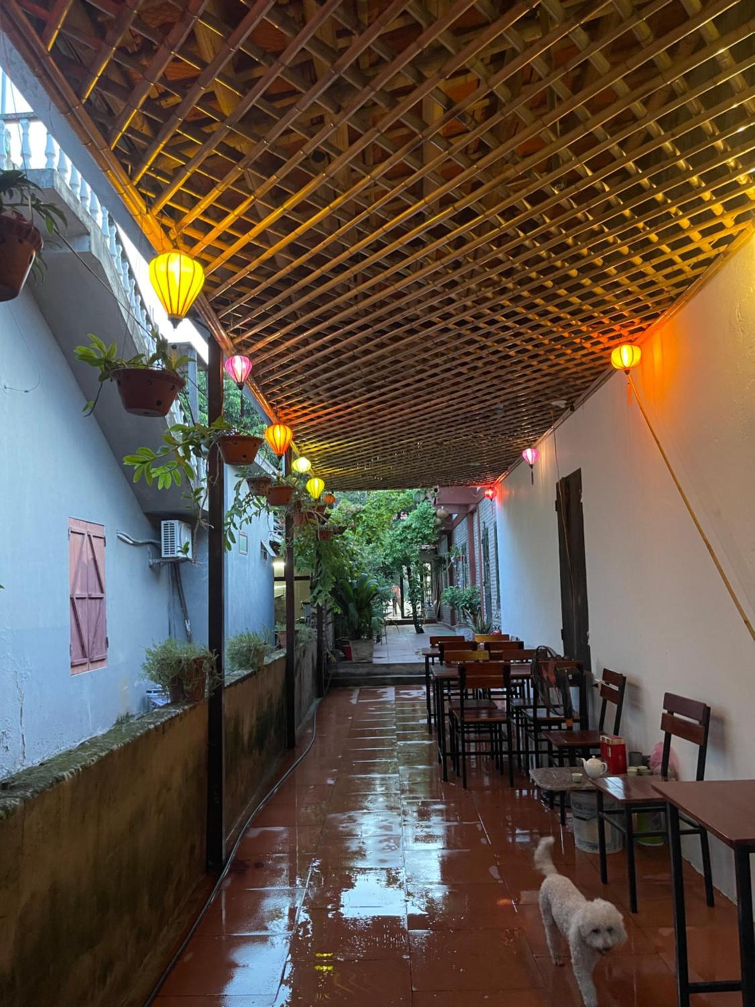 Thuy Xuyen Tam Coc Homestay Vu Lam المظهر الخارجي الصورة